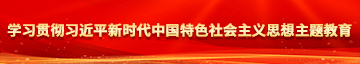 美女曰逼视频网学习贯彻习近平新时代中国特色社会主义思想主题教育