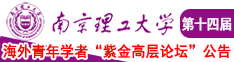 欧美人妖群交内射精南京理工大学第十四届海外青年学者紫金论坛诚邀海内外英才！